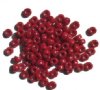 100 4x6mm Crow Beads Opaque Brick Red